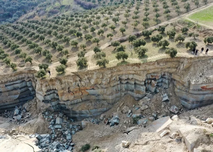 Birleşmiş Milletler: Deprem Türkiye'nin tarım üretiminin 5'te 1'ine zarar verdi 1 Birleşmiş Milletler: Deprem Türkiye’nin tarım üretiminin 5’te 1’ine zarar verdi