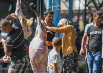Sokakta kurban kesmenin ve toprağa gömmenin cezası belli oldu
