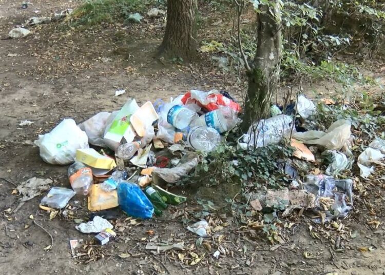 Belgrad Ormanı'ndan 3 günde 18 ton çöp toplandı 1 Belgrad Ormanı’ndan 3 günde 18 ton çöp toplandı