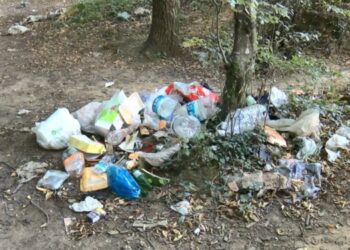 Belgrad Ormanı’ndan 3 günde 18 ton çöp toplandı