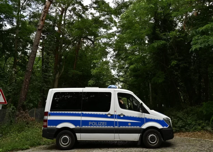 Berlin'deki aslan avı sona erdi: Aranan vahşi hayvan domuz çıktı 1 Berlin’deki aslan avı sona erdi: Aranan vahşi hayvan domuz çıktı