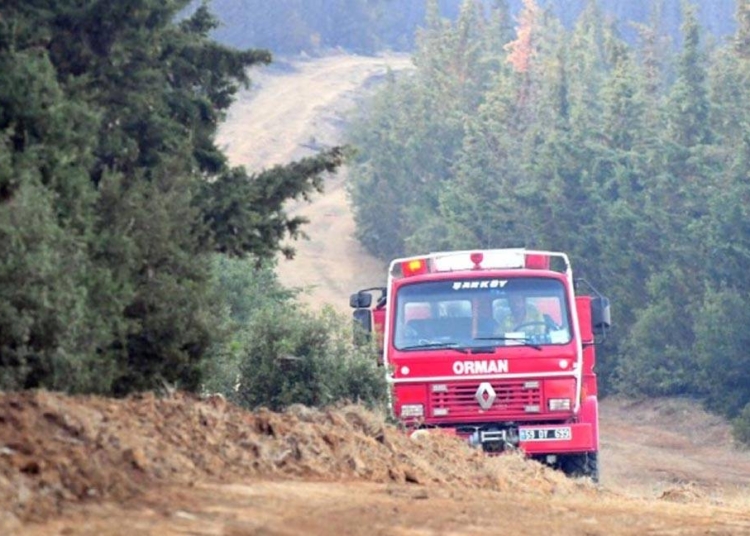 Tekirdağ'daki orman yangınına balya makinesinden çıkan kıvılcımın neden oldu 1 Tekirdağ’daki orman yangınına balya makinesinden çıkan kıvılcımın neden oldu