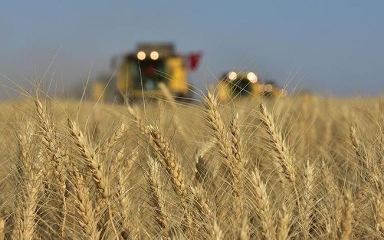 Rusya tahıl anlaşmasına dönmek için 7 şartını açıkladı