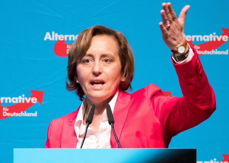 Almanya'da aşırı sağcı politikacıya dışkılı saldırı 1 Almanya’da aşırı sağcı politikacıya dışkılı saldırı