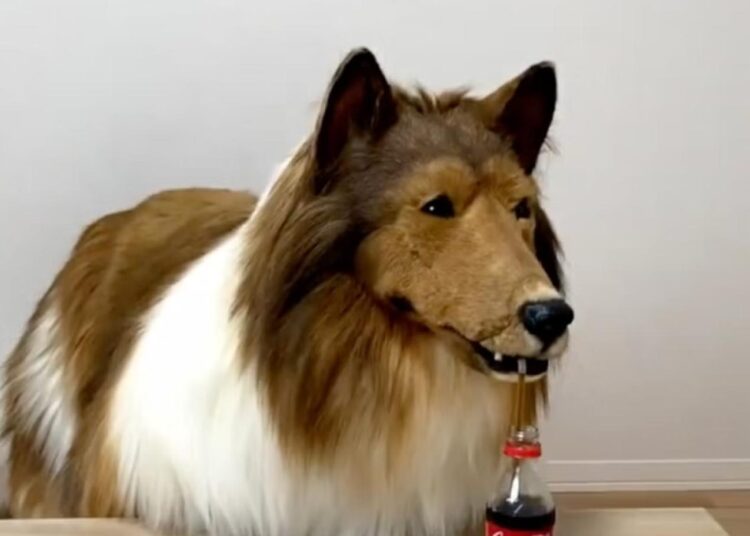 Kendini köpeğe dönüştüren Japon, halinden memnun 1 Kendini köpeğe dönüştüren Japon, halinden memnun