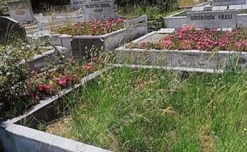 Mezar alma, komşu al: 7,5 milyona Sabancı’ya komşu mezarlık