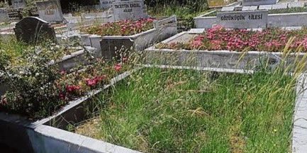 Mezar alma, komşu al: 7,5 milyona Sabancı'ya komşu mezarlık 1 Mezar alma, komşu al: 7,5 milyona Sabancı’ya komşu mezarlık