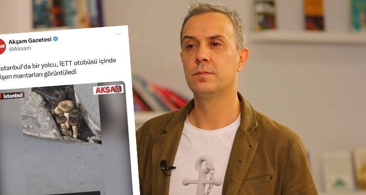Sabah yazarı, “İBB otobüsünde mantar yetişti” yazısı için özür diledi