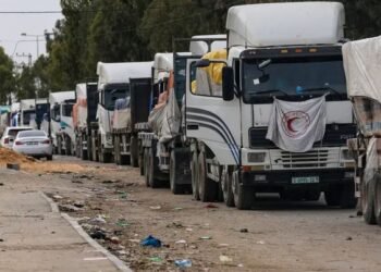 الأمم المتحدة: وصول 61 شاحنة مساعدات إلى شمال غزة