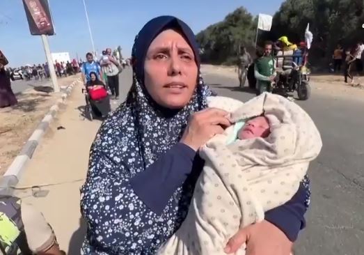 بعمر 6 ساعات.. جدة فلسطينية تحمل أصغر نازحة في غزة 1 بعمر 6 ساعات.. جدة فلسطينية تحمل أصغر نازحة في غزة
