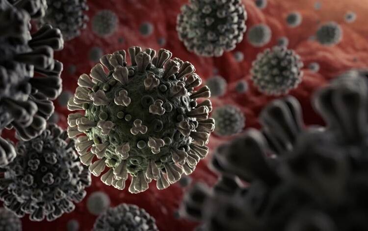 أربعة أمراض تنتقل من الحيوانات للبشر تقتل أضعاف الأشخاص في 2050 1 أربعة أمراض تنتقل من الحيوانات للبشر تقتل أضعاف الأشخاص في 2050