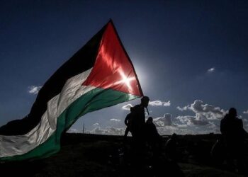 تركيا: لا يمكن إحلال السلام والأمن في المنطقة دون قيام دولة فلسطين