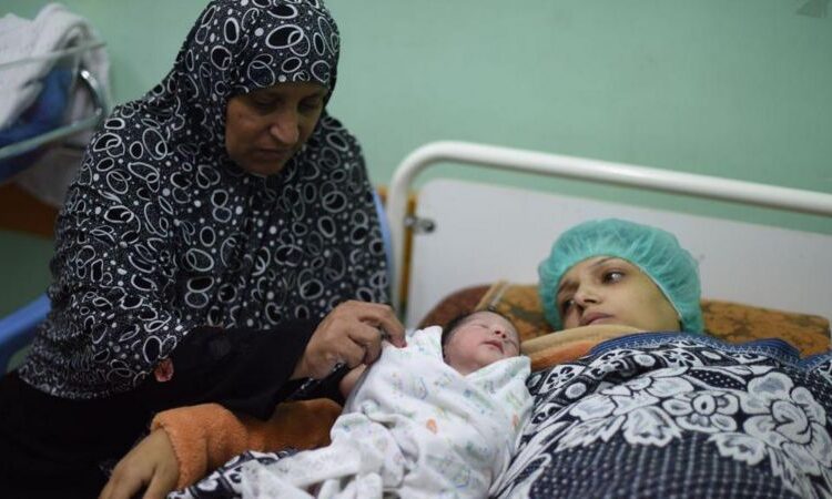 صحة غزة: 180 نازحة تلد يوميا بظروف سيئة و900 ألف طفل في خطر 1 صحة غزة: 180 نازحة تلد يوميا بظروف سيئة و900 ألف طفل في خطر