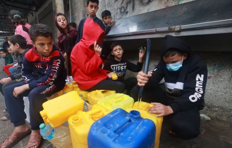 نقص وغلاء.. احتمالات الموت جوعا تتصاعد في غزة 1 نقص وغلاء.. احتمالات الموت جوعا تتصاعد في غزة