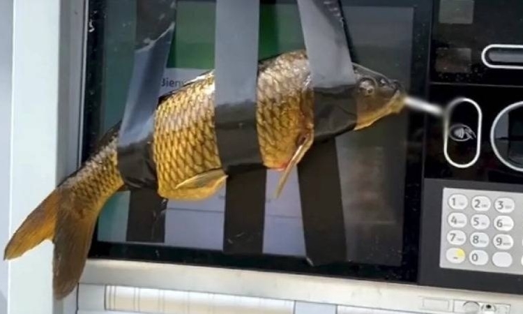 ATM'lere 'sigara içen balık' bantladı: Tutuklandı 1 ATM’lere ‘sigara içen balık’ bantladı: Tutuklandı