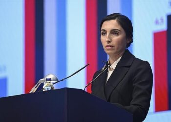 Merkez Bankası Başkanı Erkan için, ‘görevden ayrılabilir’ iddiası