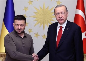 أردوغان وزيلينسكي يبحثان قضايا إقليمية وعالمية