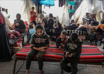 صحة غزة: 50 ألف حامل و900 ألف طفل دون رعاية بمراكز إيواء