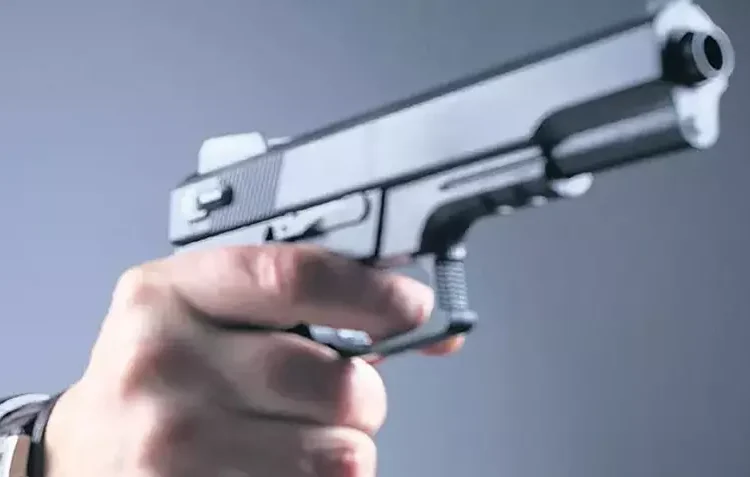 Türkiye’de 34 milyon silahın 30 milyonu ruhsatsız