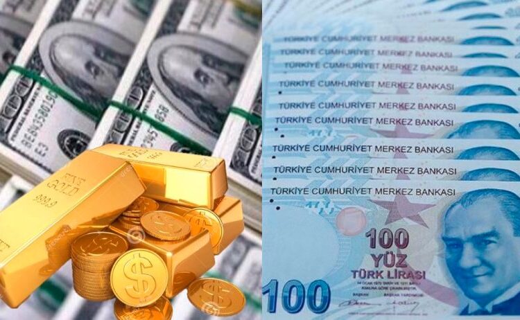 تركيا.. الدولار يجدد ذروته التاريخية وتجاوز 31 ليرة لأول مرة