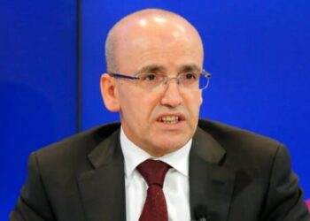 وزير الخزانة التركي: معدل ديننا العام أقل من دول كثيرة