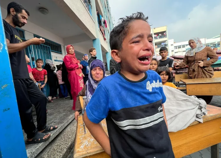 هروبا من القصف المستمر في الحرب على غزة.. الأونروا: نحو 150 ألف شخص فروا من رفح 1 هروبا من القصف المستمر في الحرب على غزة.. الأونروا: نحو 150 ألف شخص فروا من رفح