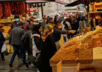وزير المالية:  التضخم في تركيا يوشك على الانحسار بشكل كبير