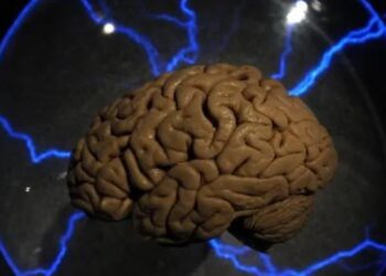 صور ترسخ في ذاكرتنا وأخرى تُمسَح تماما.. دراسة تكشف السبب