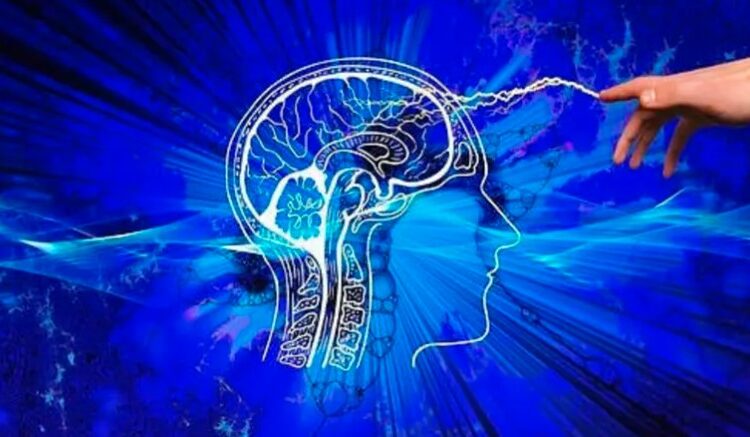 اختراق علمي كان ضرباً من الخيال.. تقنية للتحكم بعقل الإنسان عن بعد! 1 اختراق علمي كان ضرباً من الخيال.. تقنية للتحكم بعقل الإنسان عن بعد!