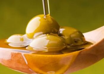 مركب طبيعي من الزيتون ينقص الوزن وينظم سكر الدم