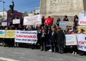 Ziraat mühendisleri ve veteriner hekimler atama istiyor