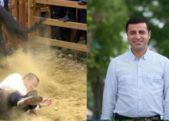 Selahattin Demirtaş: Erdoğan düşerse at yoluna devam eder