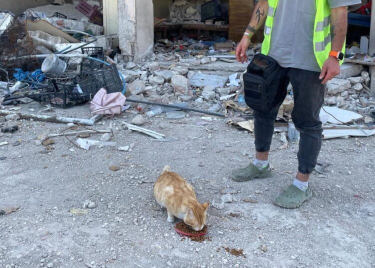 Ecevit, depremden 76 gün sonra sağ olarak bulundu 1 Ecevit, depremden 76 gün sonra sağ olarak bulundu