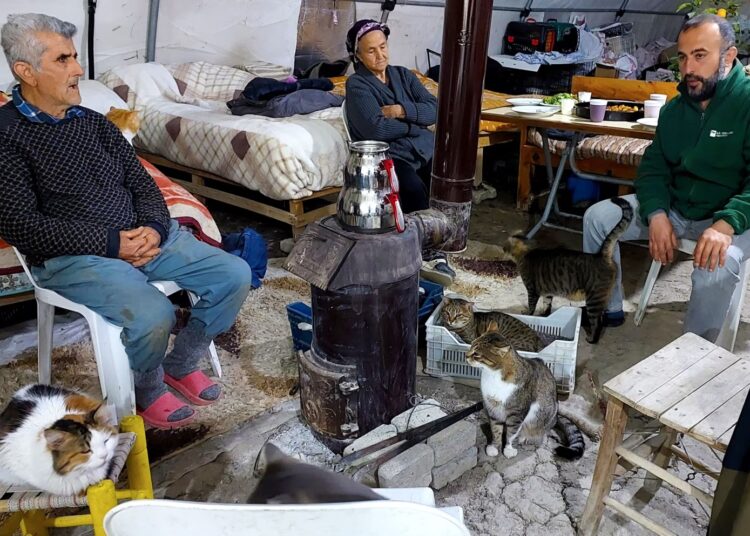Depremzede aile, 50’den fazla kediyle çadırda yaşıyor