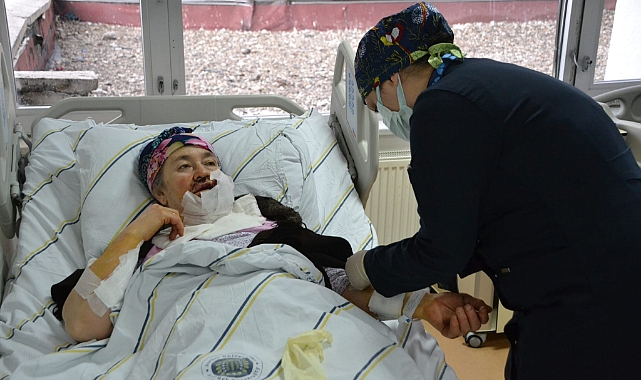 Erzurum'da 4 kişiyi yaralayan kurt, kuduz çıktı 1 Erzurum’da 4 kişiyi yaralayan kurt, kuduz çıktı