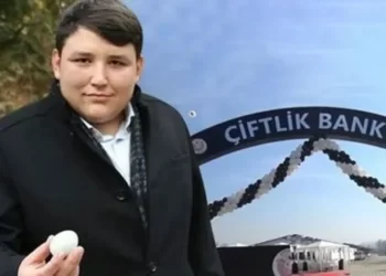Çiftlik Bank davasında ilk karar: Mehmet Aydın ve ağabeyine hapis cezası