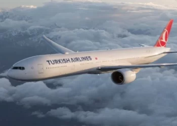 Yolcu kabin memuruna saldırdı, THY uçağı acil iniş yaptı
