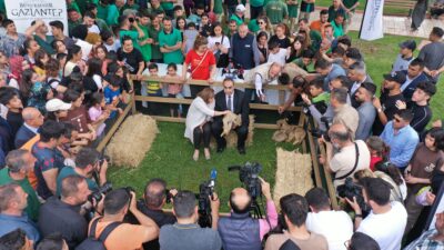 Erdoğan'a hediye edilen aslanların yavruları oldu
