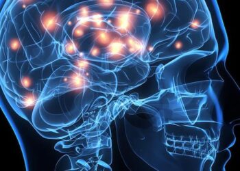 Felce beyin implantı çaresi