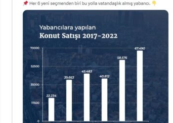 Türkiye’de her 6 yeni seçmenden biri yabancı