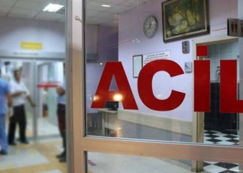 Trabzon’da bir kişi, arı sokması sonucu hayatını kaybetti