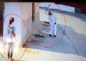 Mardin’de dehşete düşüren görüntüler: Yavru köpeği demir çubukla vahşice öldürdü