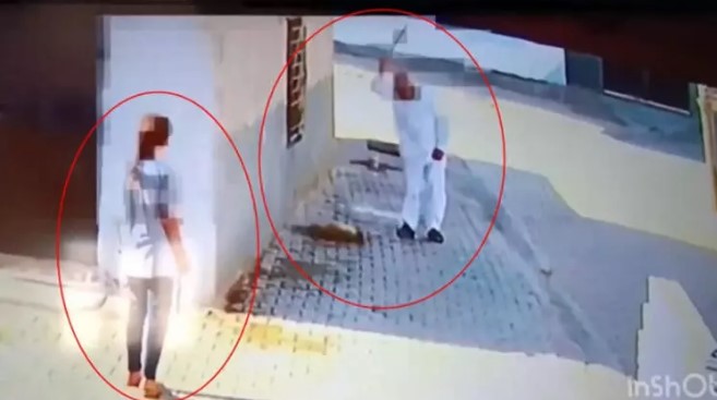 Mardin'de dehşete düşüren görüntüler: Yavru köpeği demir çubukla vahşice öldürdü 1 Mardin’de dehşete düşüren görüntüler: Yavru köpeği demir çubukla vahşice öldürdü
