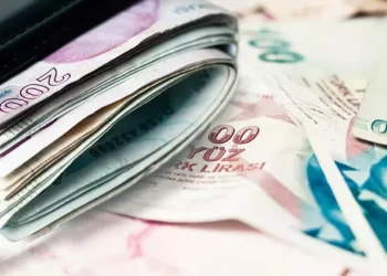 Ekonomistlerden yıl sonu dolar/TL tahmini