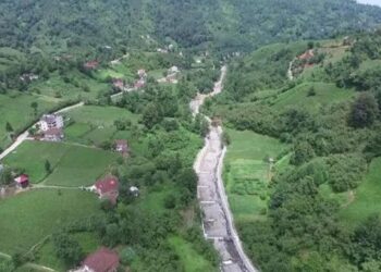 Sahibini ısırdıktan sonra ölen köpek kuduz çıktı: 3 köy, 6 aylığına karantina altına alındı
