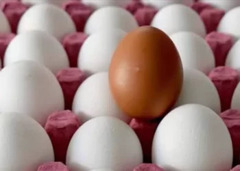 Yumurtanın fiyatı bir yılda ikiye katlandı