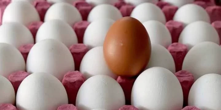 Yumurtanın fiyatı bir yılda ikiye katlandı 1 Yumurtanın fiyatı bir yılda ikiye katlandı