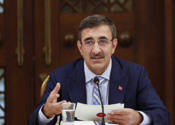 Cevdet Yılmaz’dan AİHM ve AYM değerlendirmesi: Devletin pozitif yükümlülüğü var