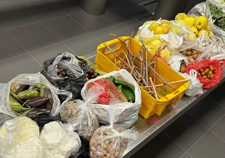 Türkiye’den getirilen yiyecekler Alman gümrüğüne takıldı