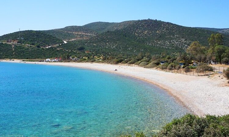 Akbelen Ormanı’nı katleden Limak, Bodrum’da sit alanına otel yapacak